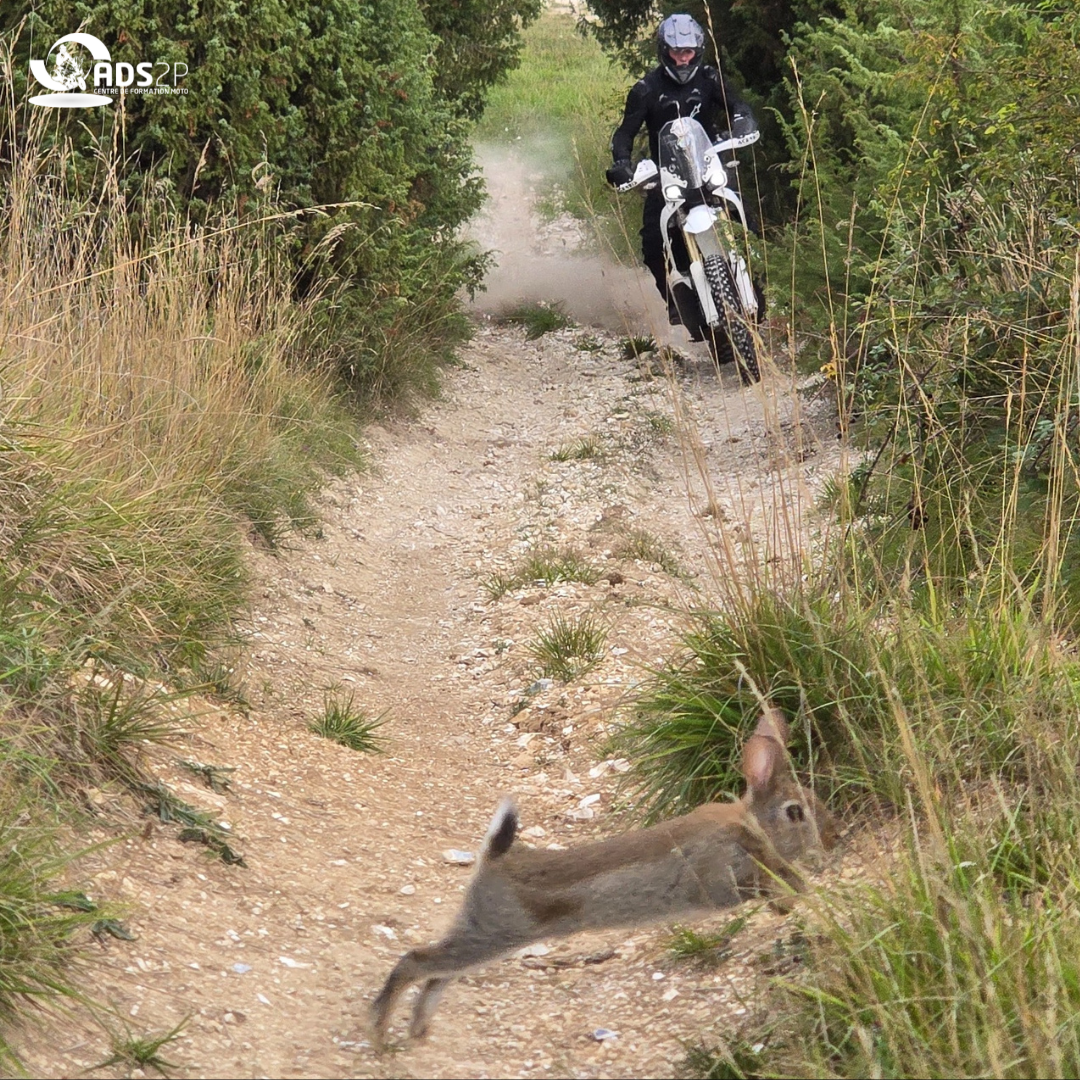 formation off-road 1.png